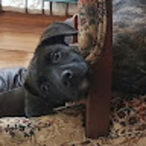 Meet your Posher, Marc